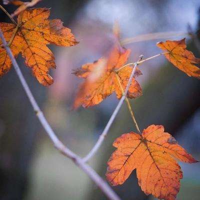 江南平台app下载安装app下载